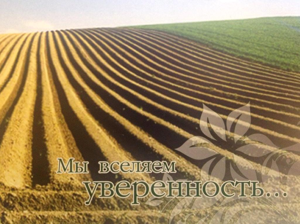 Изображение №1 компании Ситно-продукт