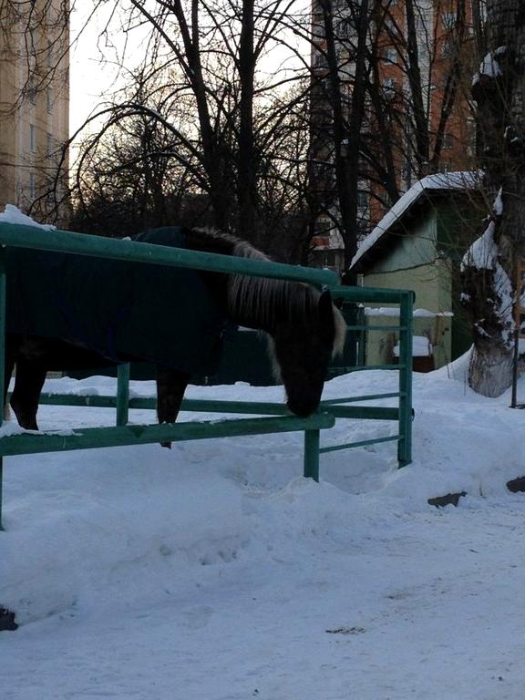 Изображение №6 компании Московский детско-юношеский центр экологии, краеведения и туризма