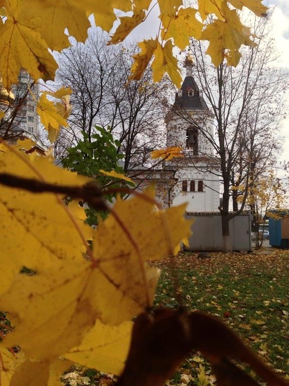 Изображение №13 компании Храм Благовещения Пресвятой Богородицы в Федосьино