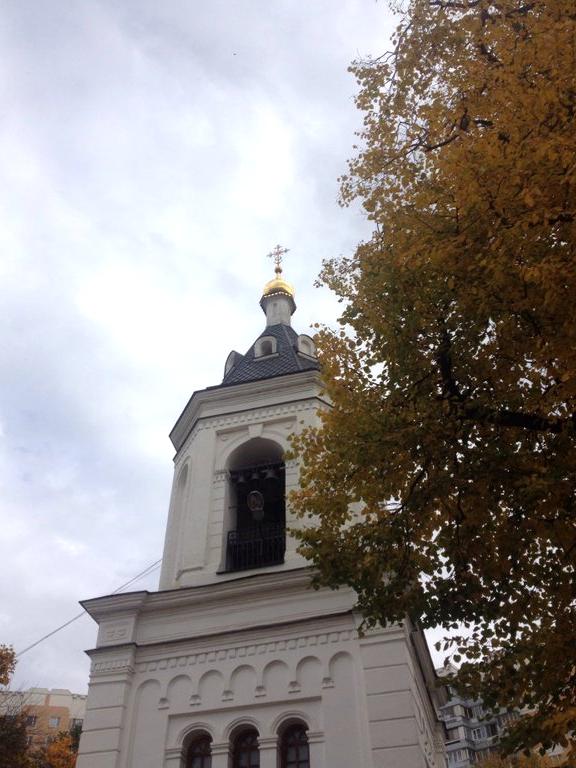 Благовещения пресвятой богородицы в федосьино. Храме Благовещения Пресвятой Богородицы в Федосьине.