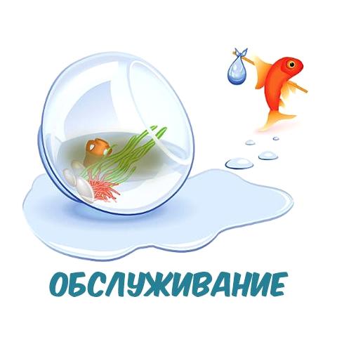 Изображение №2 компании Hofish