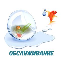 Изображение №2 компании Hofish