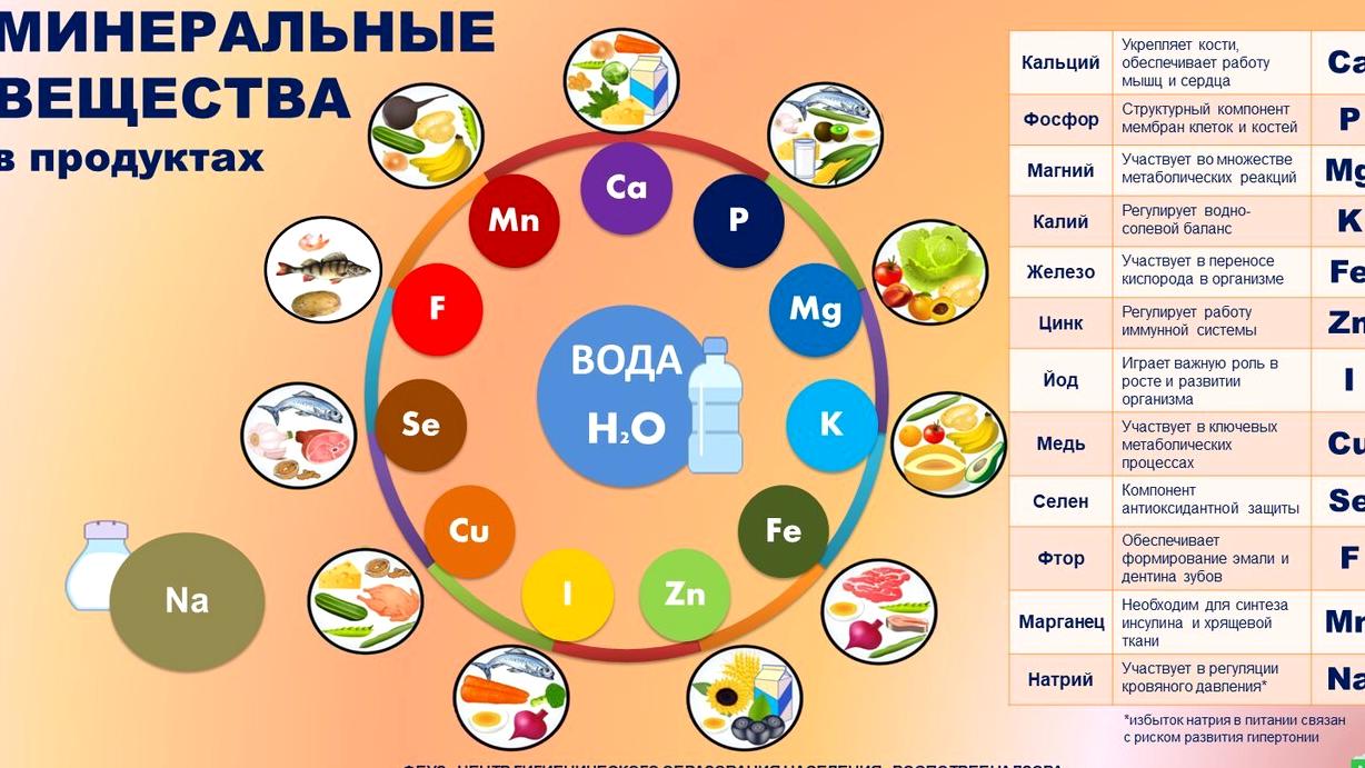 Изображение №10 компании Чебурашка