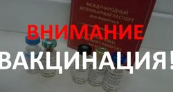 Изображение №2 компании Центр ветеринарной инновационной медицины Российского Университета Дружбы Народов