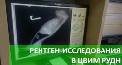 Изображение №4 компании Центр ветеринарной инновационной медицины Российского Университета Дружбы Народов