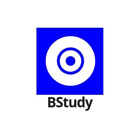 Изображение №5 компании BStudy