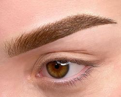 Изображение №1 компании Oxana_brows