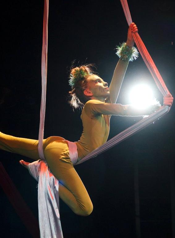 Изображение №12 компании Студия воздушной гимнастики и танца на пилоне The Bat