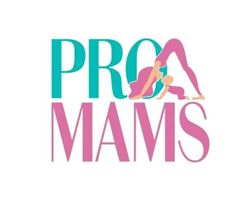 Изображение №1 компании Pro Mams