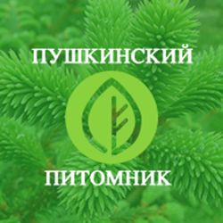Изображение №1 компании Пушкинский питомник декоративных растений