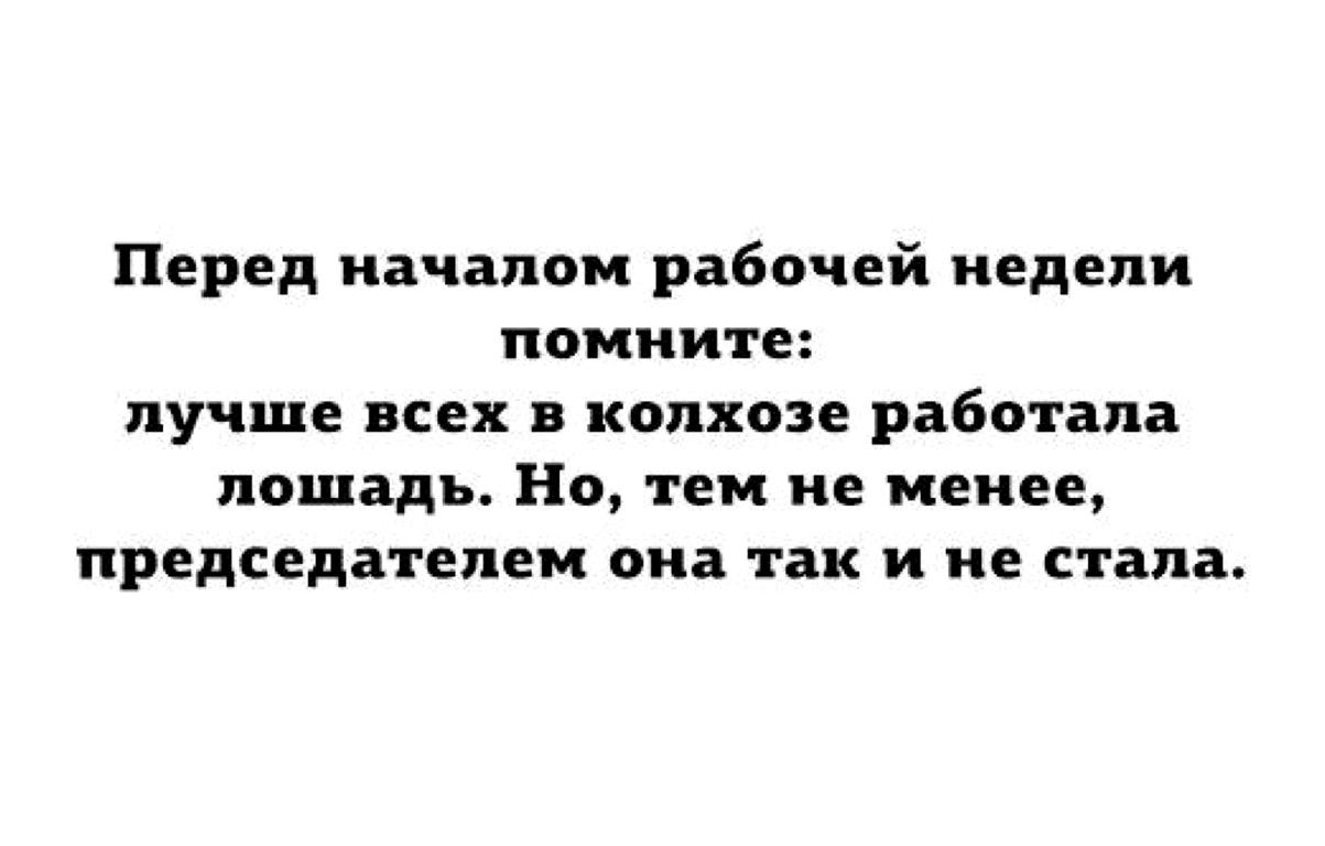 Изображение №7 компании Pososhok