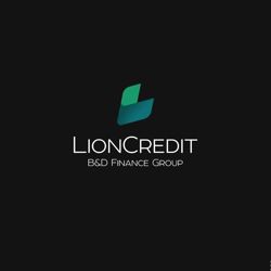 Изображение №1 компании LionCredit B & D Finance Group