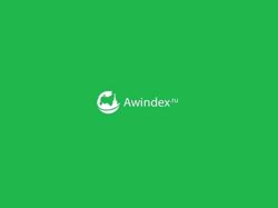 Изображение №3 компании Awindex