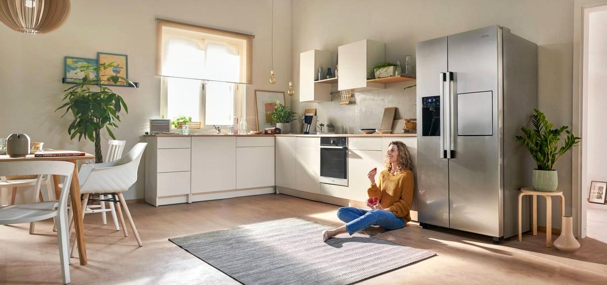 Изображение №8 компании Gorenje