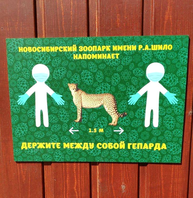 Изображение №7 компании Новосибирский зоопарк им. Р.А. Шило