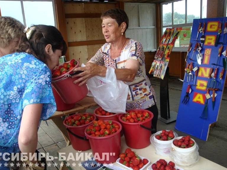 Изображение №17 компании Сибирь-Байкал