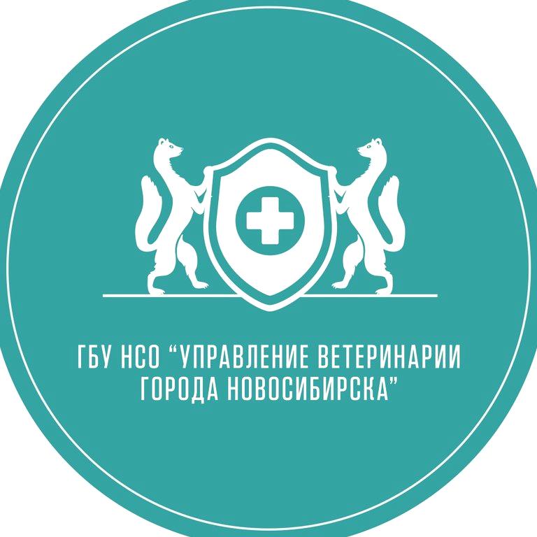 Изображение №1 компании Ветеринарная клиника Центральная Управление ветеринарии г. Новосибирска