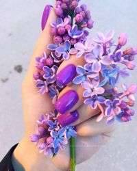 Изображение №3 компании Petukhova nail studio