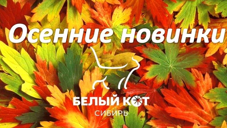 Изображение №16 компании Белый Кот Сибирь