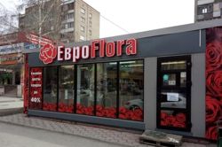 Изображение №5 компании Еврофлора