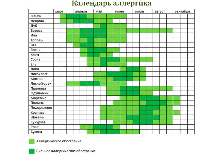 Изображение №20 компании ОКСИ