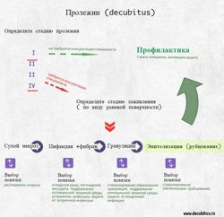 Изображение №3 компании Вита-альфа