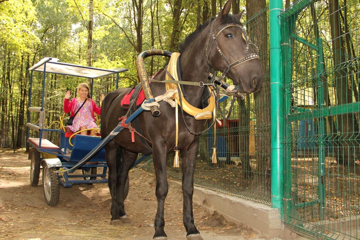 Изображение №1 компании Зоопарк в гостиничном в комплексе Регина Петровский