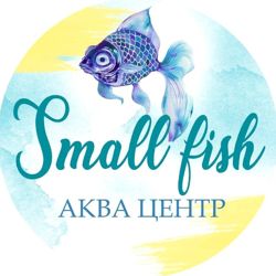 Изображение №1 компании Small_fish