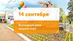 Изображение №3 компании Тенториум ПВП