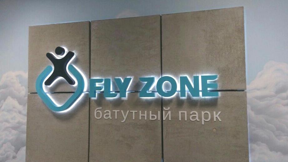 Изображение №3 компании Flyzone