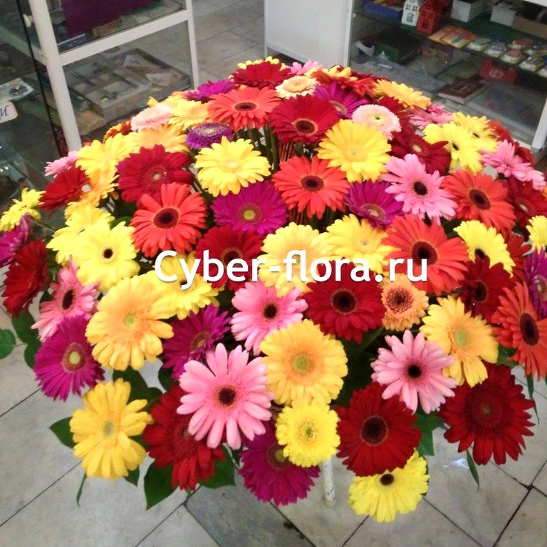 Изображение №12 компании Cyber Flora®