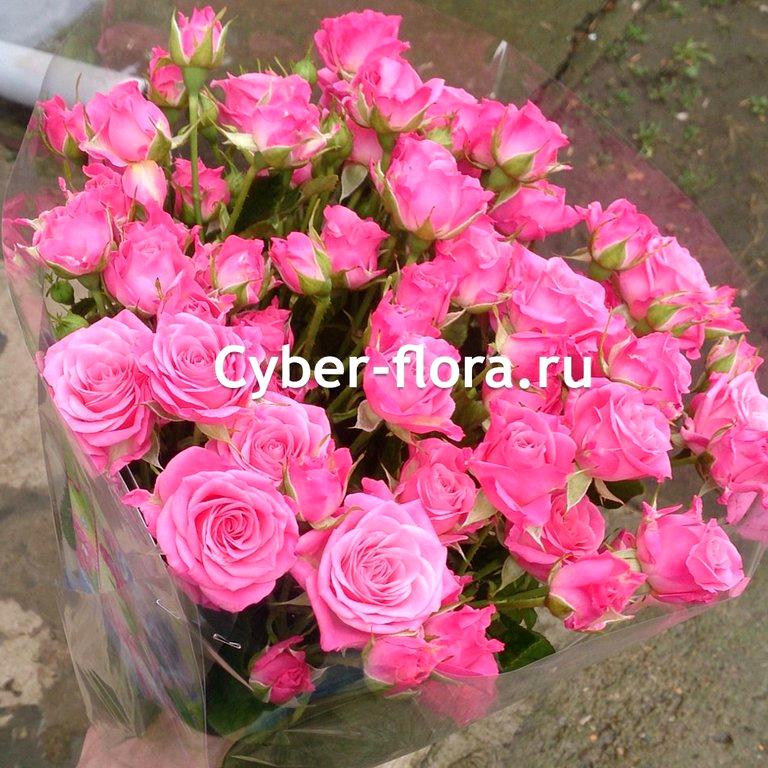 Изображение №7 компании Cyber Flora®