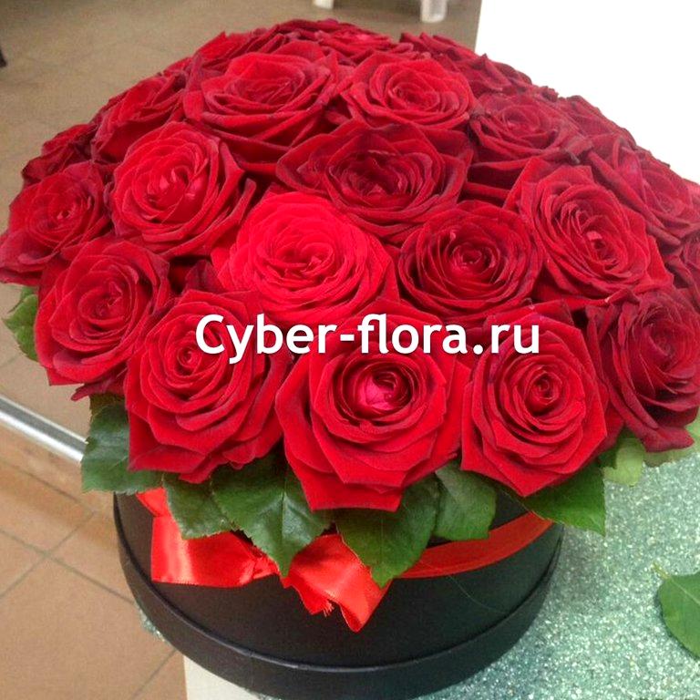 Изображение №16 компании Cyber Flora®