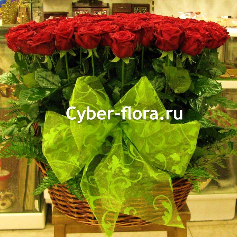 Изображение №5 компании Cyber Flora®