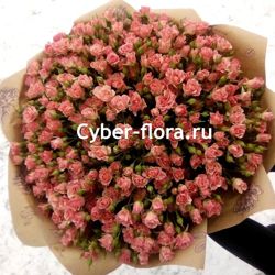 Изображение №4 компании Cyber Flora®