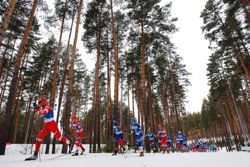 Изображение №1 компании Центр спортивной подготовки и проведения спортивных мероприятий