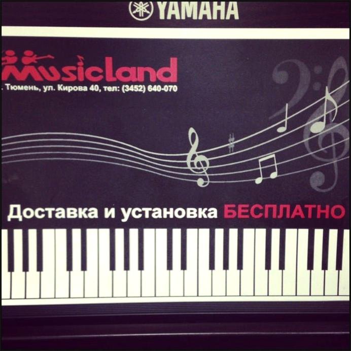 Изображение №1 компании Musicland
