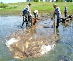 Изображение №1 компании Тюменские Системы Водоочистки