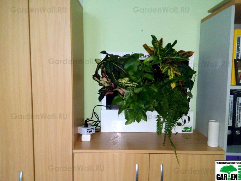 Изображение №17 компании Gardenwall