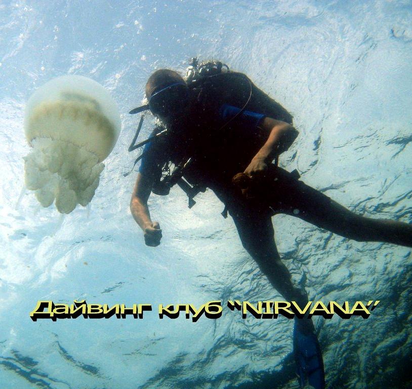 Изображение №15 компании NIRVANA