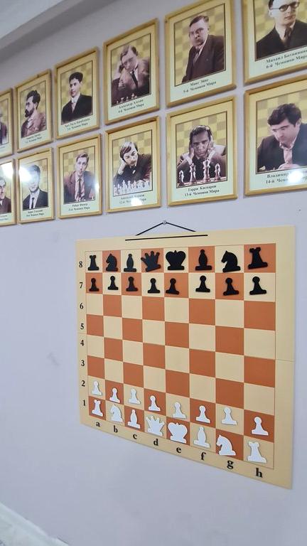 Изображение №3 компании Chess cool