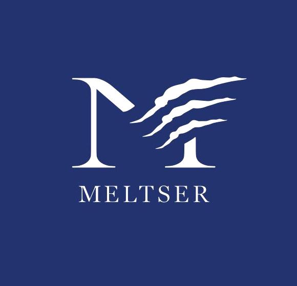 Изображение №7 компании Meltser