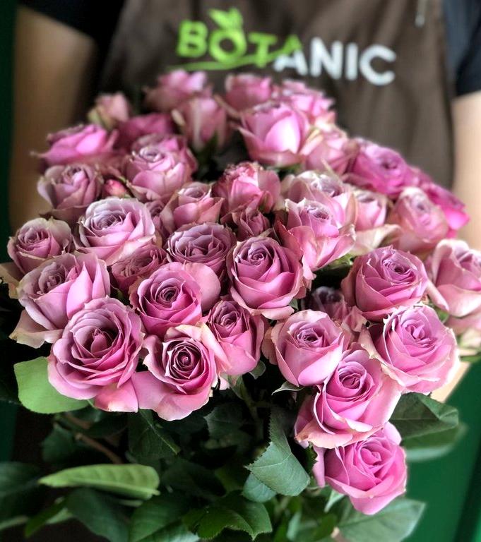 Изображение №7 компании Botanic bar