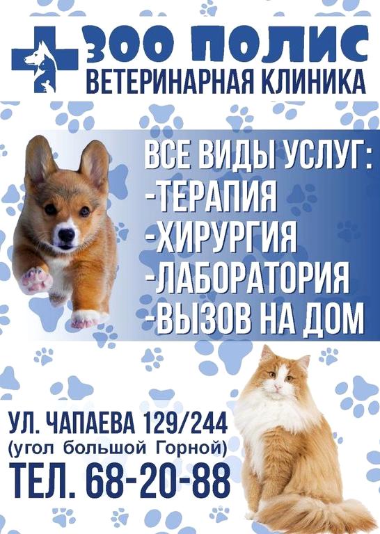 Изображение №11 компании Ветеринарная клиника на улице Чапаева