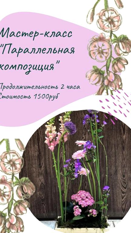 Изображение №8 компании Botanic art