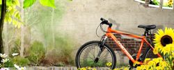 Изображение №1 компании Orange-bike