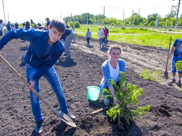 Изображение №9 компании Татищевского муниципального района