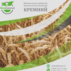 Изображение №4 компании Информационно-консультационная служба агропромышленного комплекса Саратовской области
