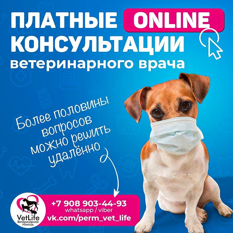 Изображение №3 компании "VetLife"