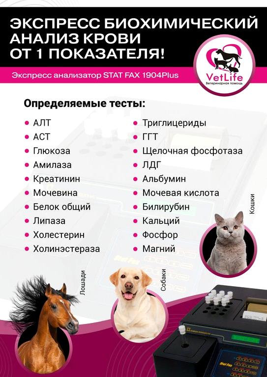 Изображение №2 компании "VetLife"